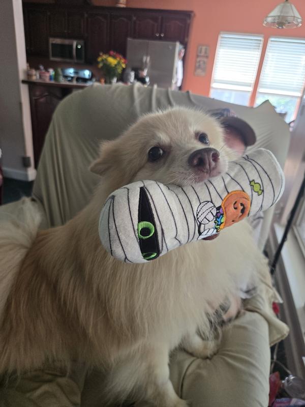 Crinkle/squeak mummy (Ted's fave!)