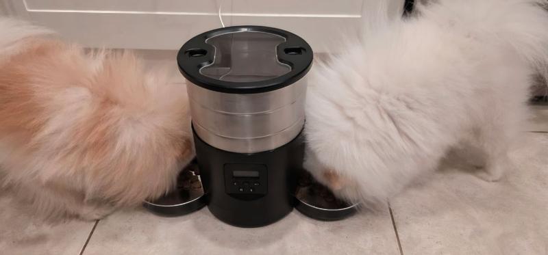 No fighting over food