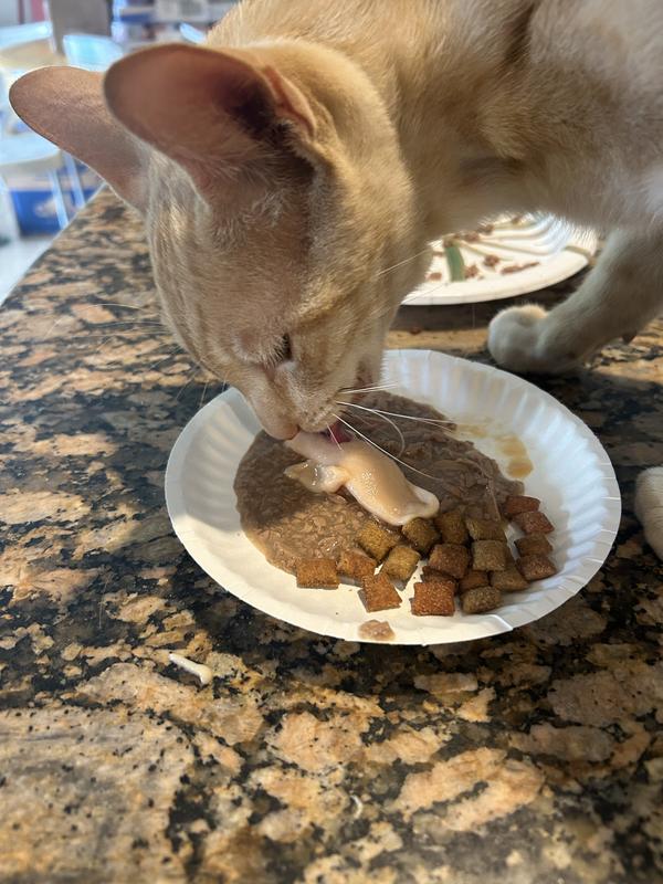 Kermit enjoys it as a meal topper