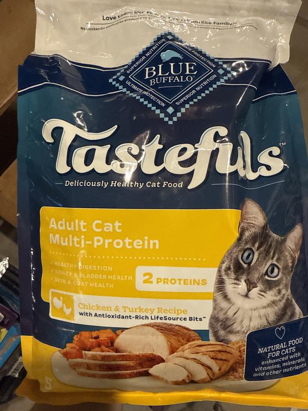 +orijen +fish +cat +food ORIJEN Six Fish Biologically Appropriate Dry Cat Food main image 1