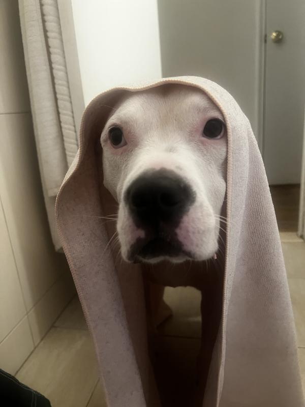 Peaches skin loves this!