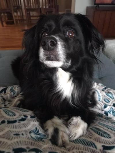 Our picky, little friend, Kobi.