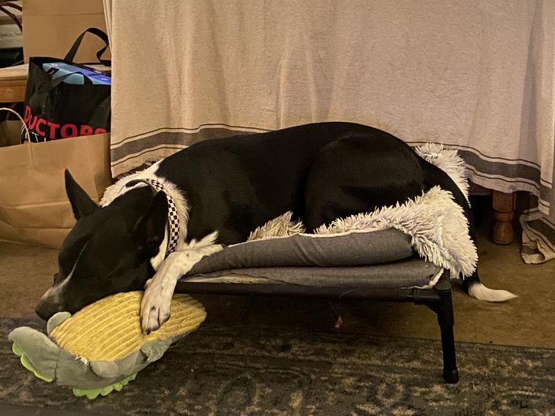 Moments before the massacre!