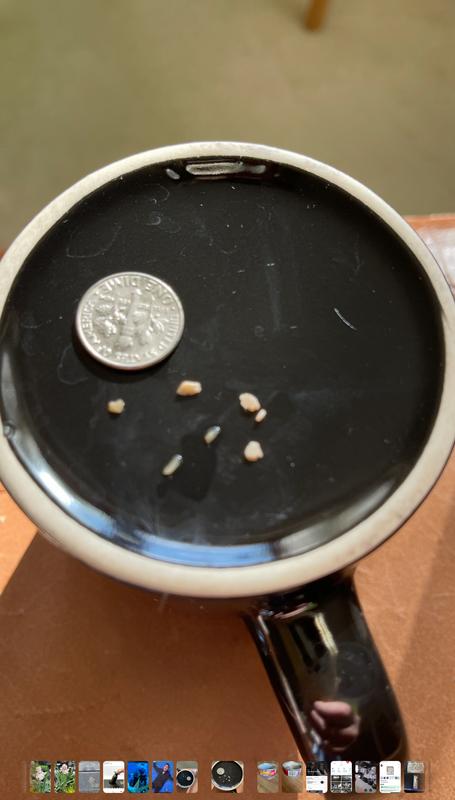 BONE FRAGMENTS