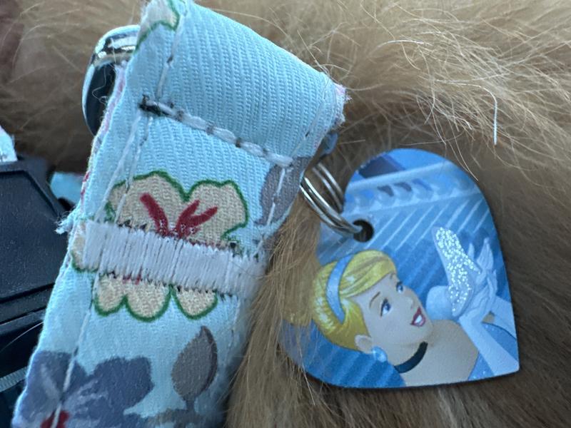 Cinderella Dog tag🤗
