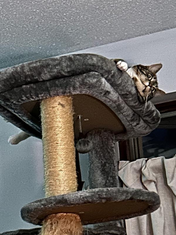 Oh how happy you have made me.