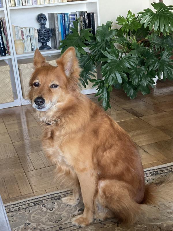 Always giving the side eye and always glam