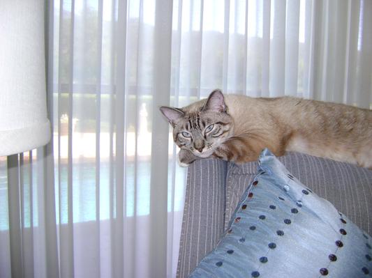 Rocket Simon, 13 months.