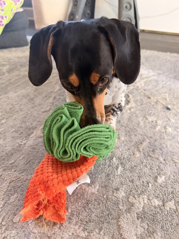 The carrot didn't stand a chance :D