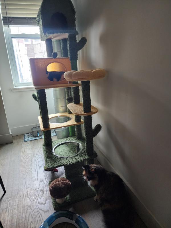 Bean & Stranger Danger