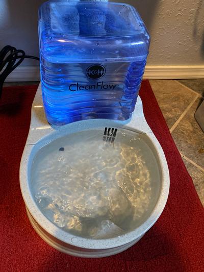K&H CleanFlow Pet Water Bowl
