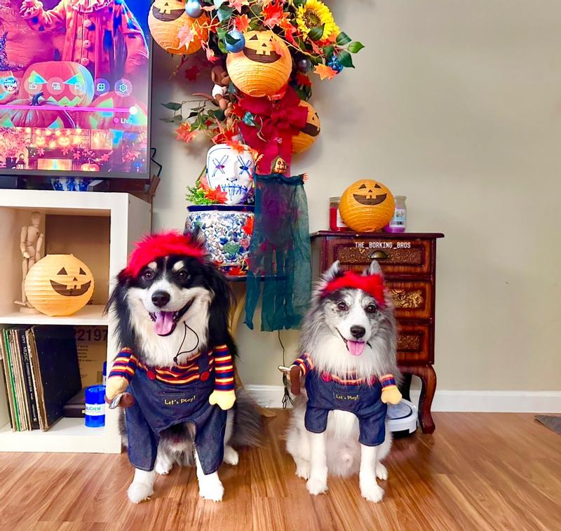 Wanna play? 😱 😏