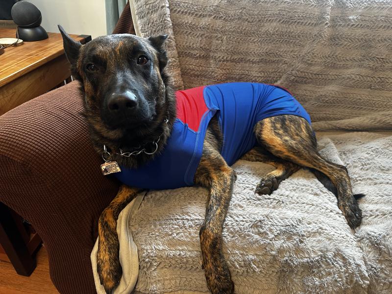 Comfortable. Easy off and on.