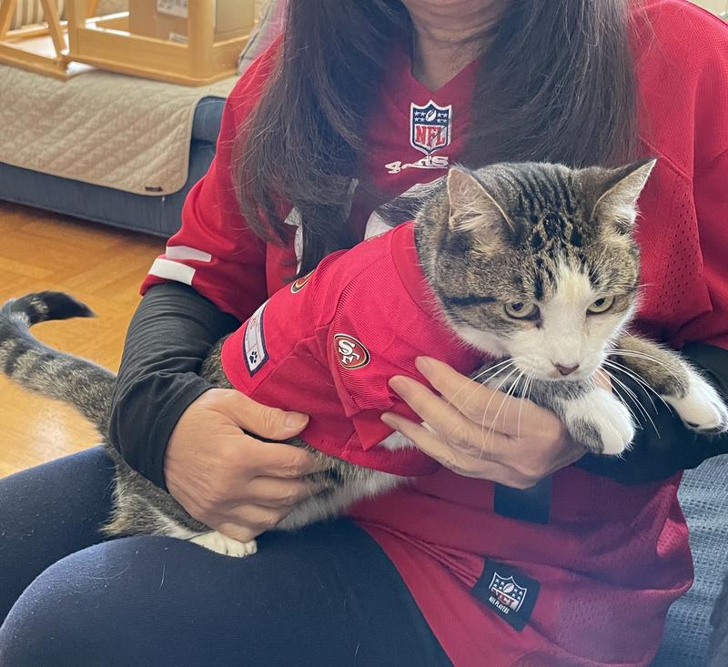 San Francisco 49ers Cat Jersey