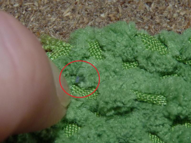 Staple point sticking out