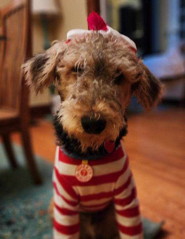 My Waldo as Waldo