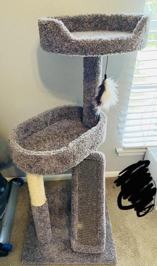 FRISCO 44-in Real Carpet Cat Tree with Replaceable Corrugate Scratcher ...