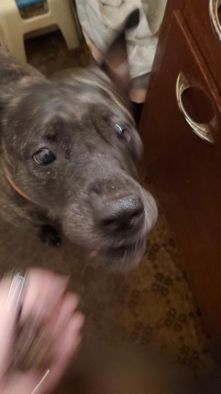 She couldnt get enough