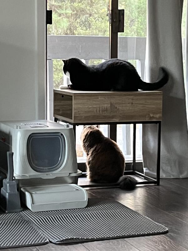 Just for size reference