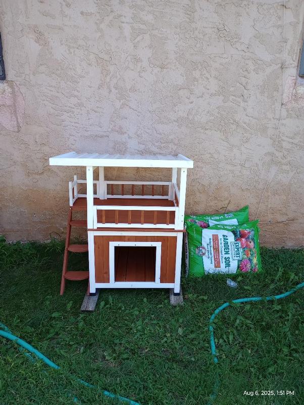 New house for hanging out