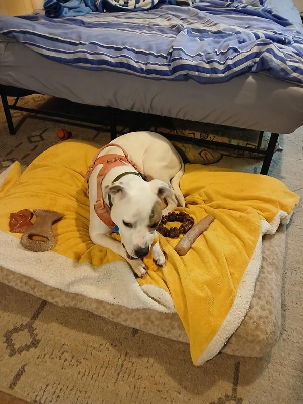 Mali loves the flavor