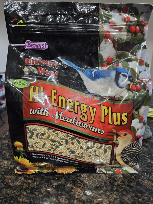 are the mealworms in the room with us?