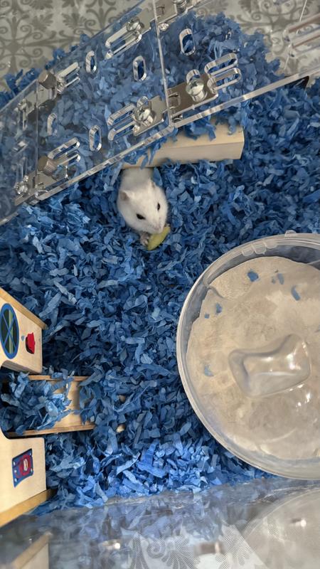 Chloe’s sand bathtub