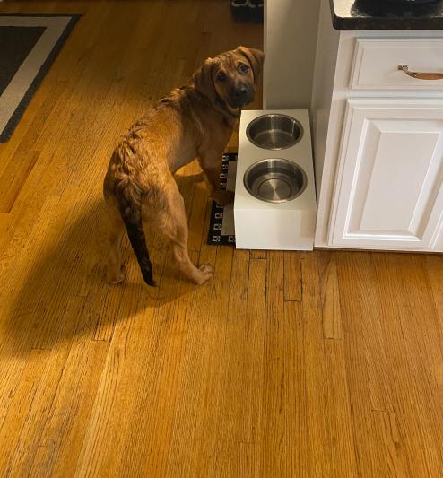 I love it, dad!  Thanks!