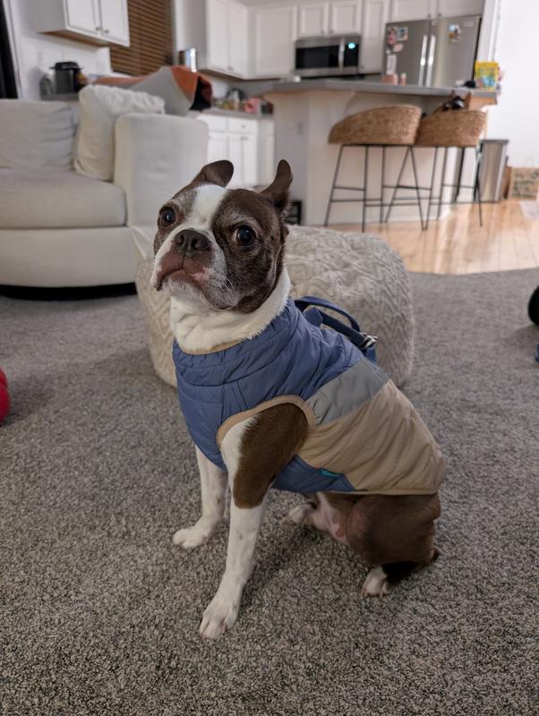 Woosley, 23lb, size L