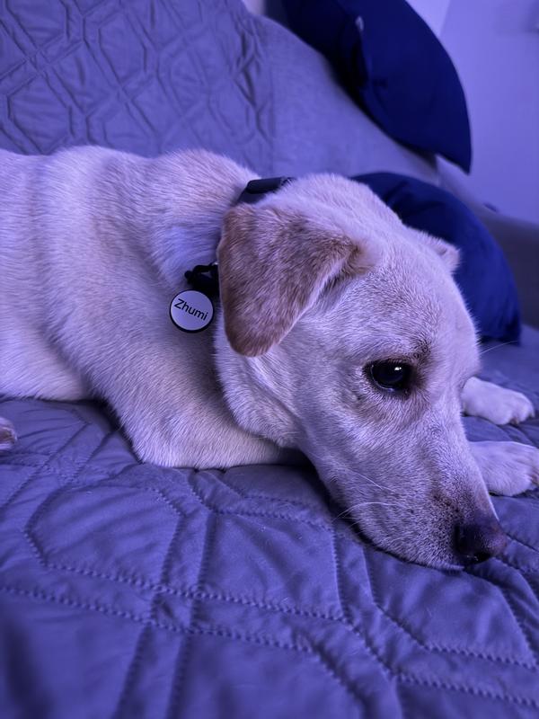 Clearly reads his name!