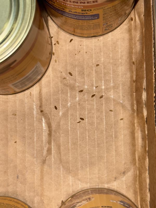 GROSS!