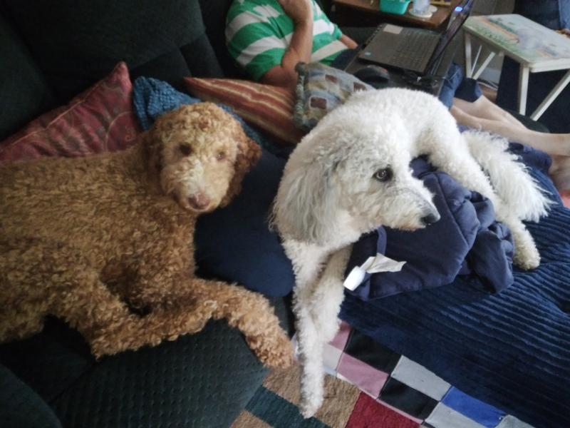 Best Friends and Kids Ever