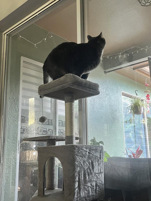 Our big boy trying out the top