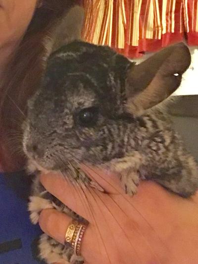 My Little Boy Pierre