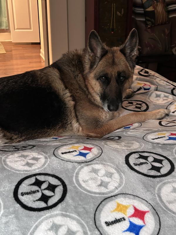 Big treat for a big girl