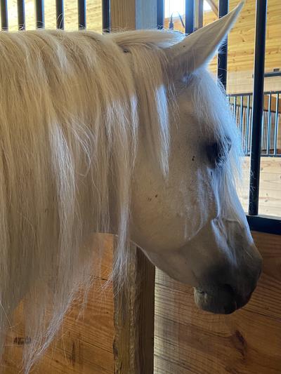 My other best friend