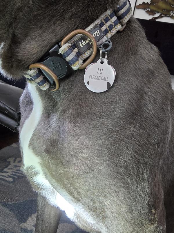 After two applications using the conditioning spray