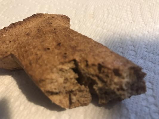 Larvae in biscuit