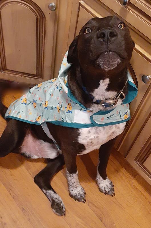 As you can see, he also loves it!