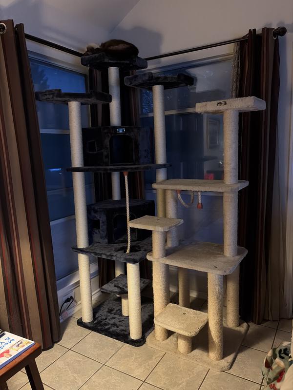 Purrfect for my fur babies