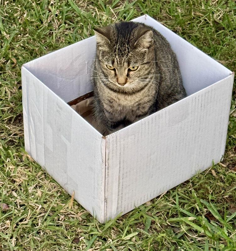 Just one of our many out door Rescues...