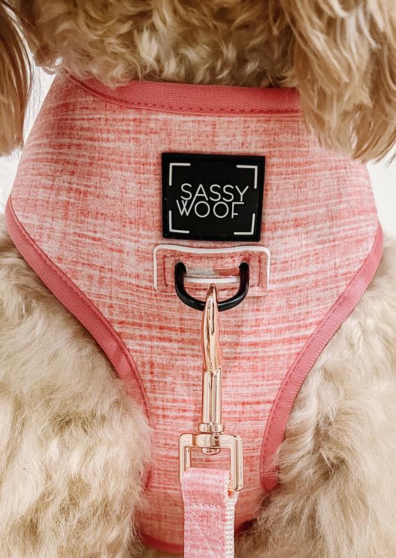 Sassy Woof Reversible Dog Harness & Leash