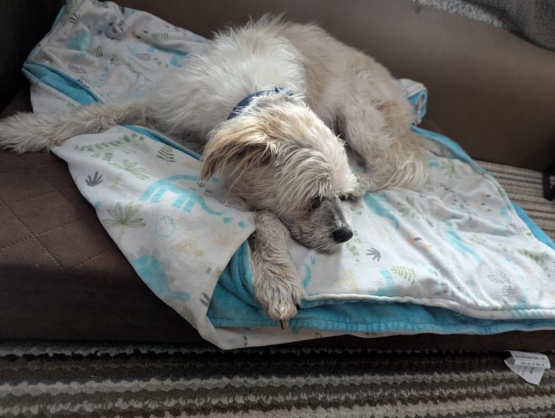 Old man is in heaven loves his new bed