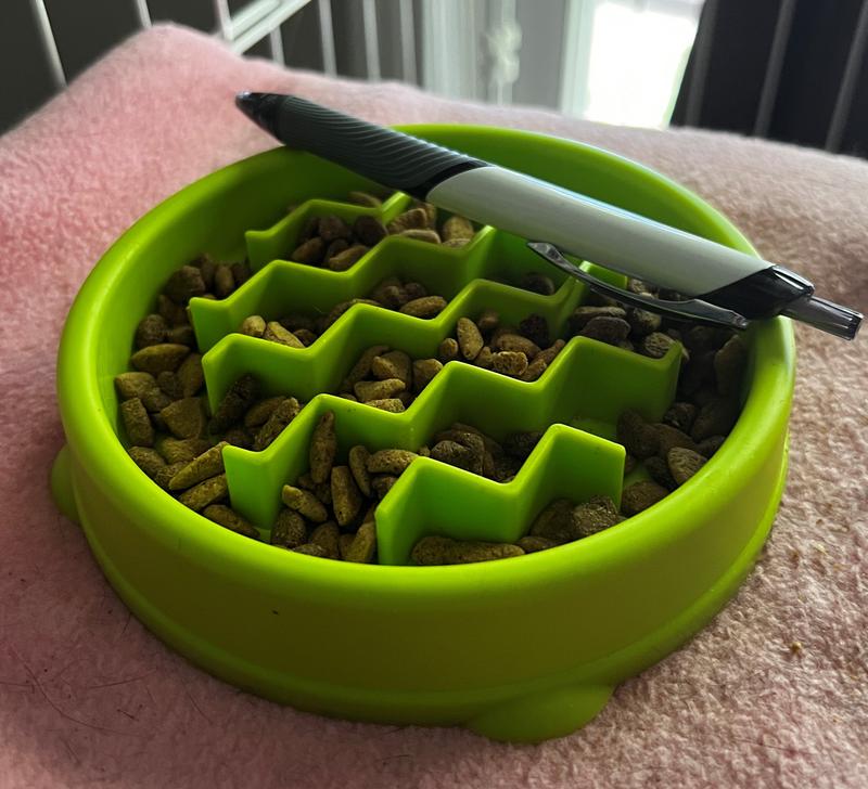 Petstages Slow Fun Feed Bowl