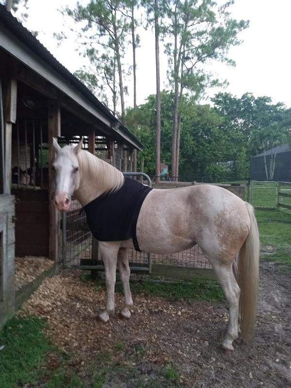 Works very well for the price!