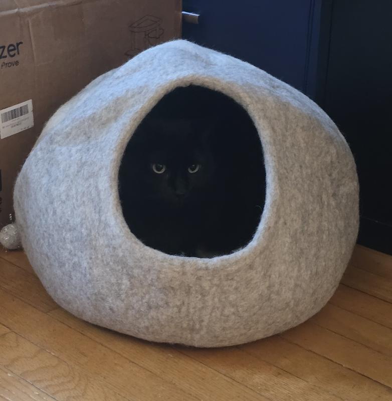 Mina the black panther