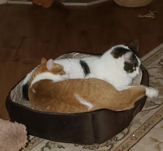 Sometimes he shares