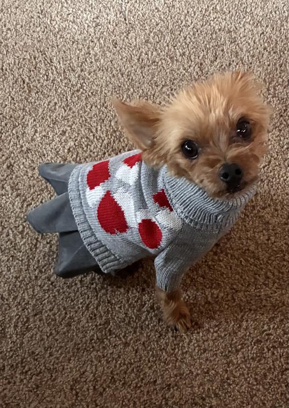 Very happy and warm girl