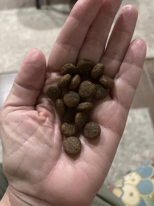 Medium size kibble