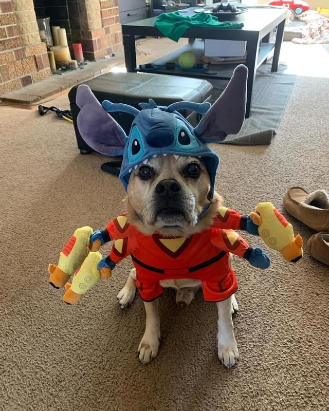 Stitch store dog costume